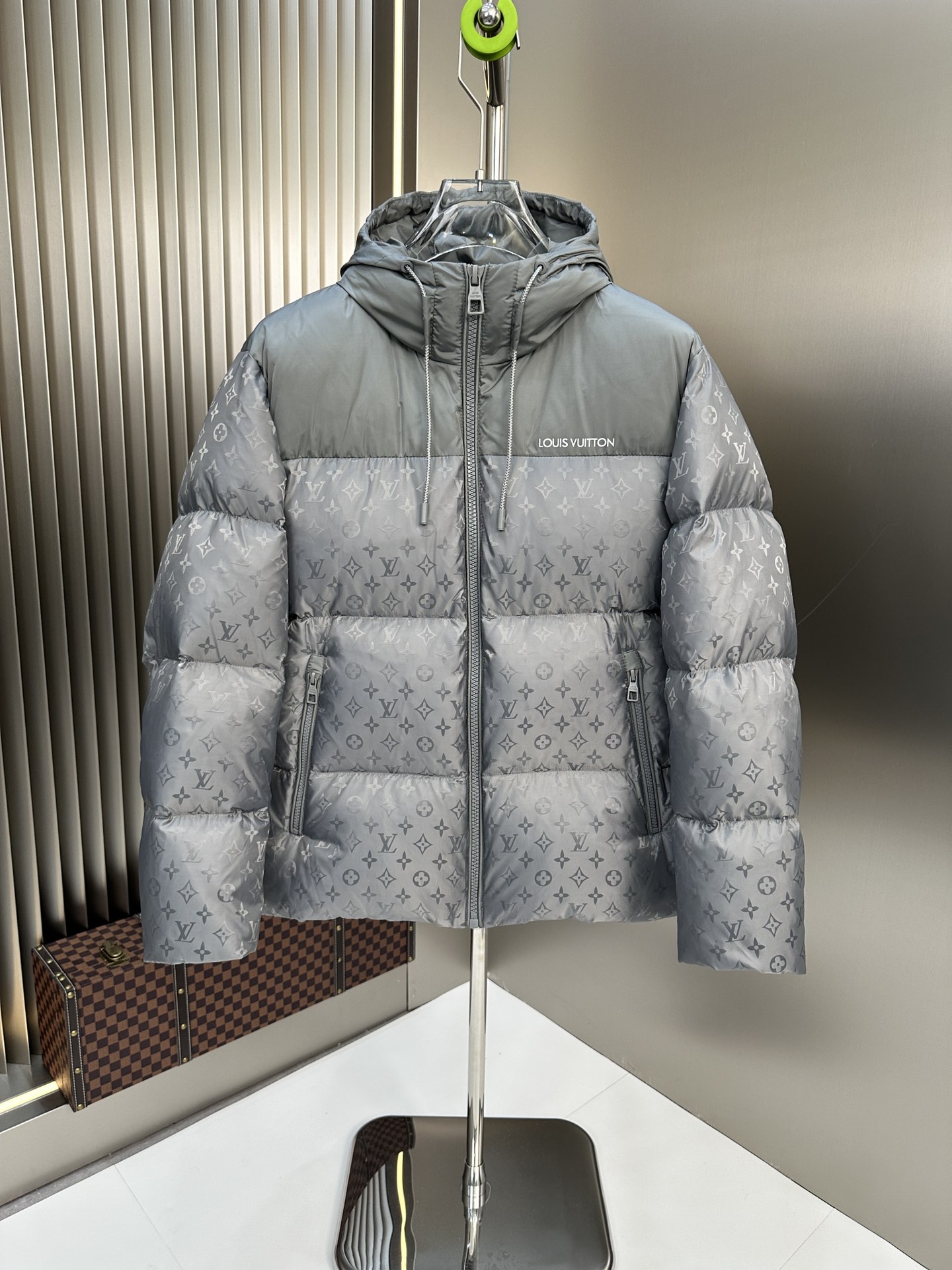 Louis Vuitton Down Jackets